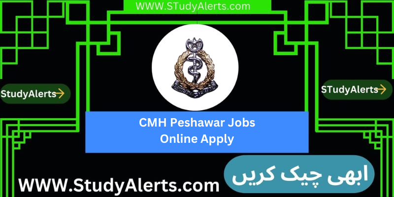 CMH Peshawar Jobs Online Apply
